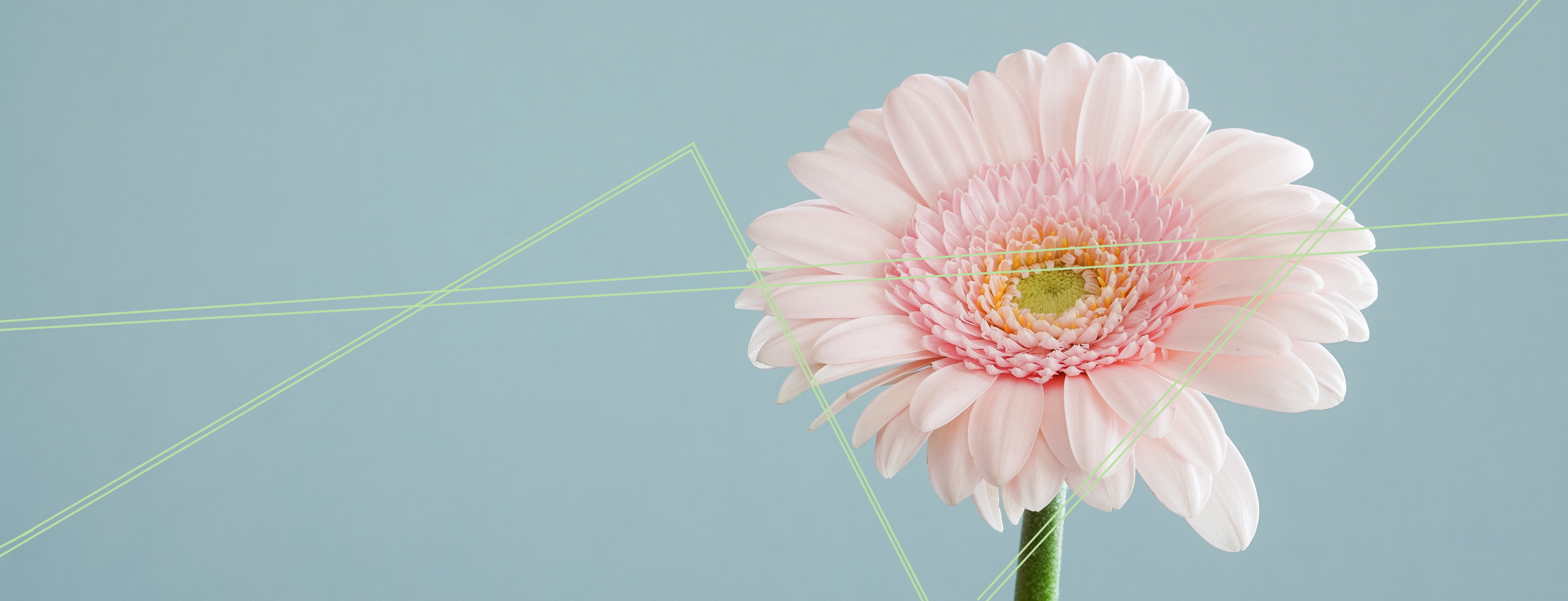 About Archive Industry